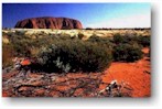 South Australia e Uluru