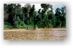 Borneo: la terra sotto il vento