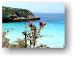 Lampedusa: o’scià