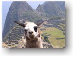 Peru senza accento