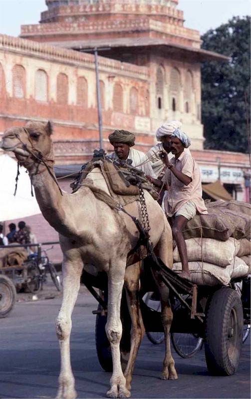Viaggiare India, di Sandro Clementi
