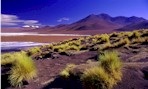 Bolivia, di Adolfo Carli