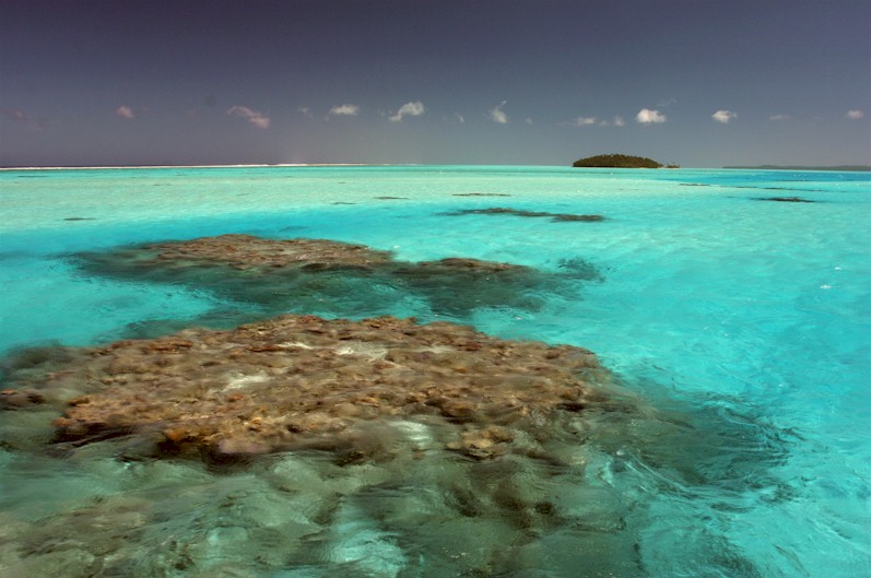 Viaggiare Isole Cook, di Adolfo Carli