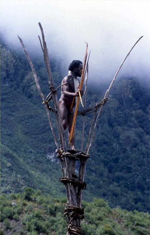 Fotografie Papua. Nuova Guinea, di Uliano Massimi