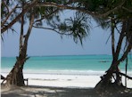 Zanzibar: spiaggia Kiwengwa, di Francesca Martucci
francymartu@yahoo.it