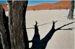 Dead Vlei, nel Namib Desert, di Marco Ciccone
