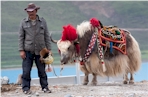 Uomini del nuovo Tibet, di Stefano Gatti