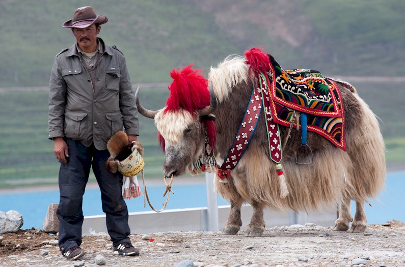 Fotografie Tibet, di Stefano Gatti