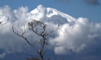 Il Mount Fuji visto da Okawaduni, di Adolfo Carli