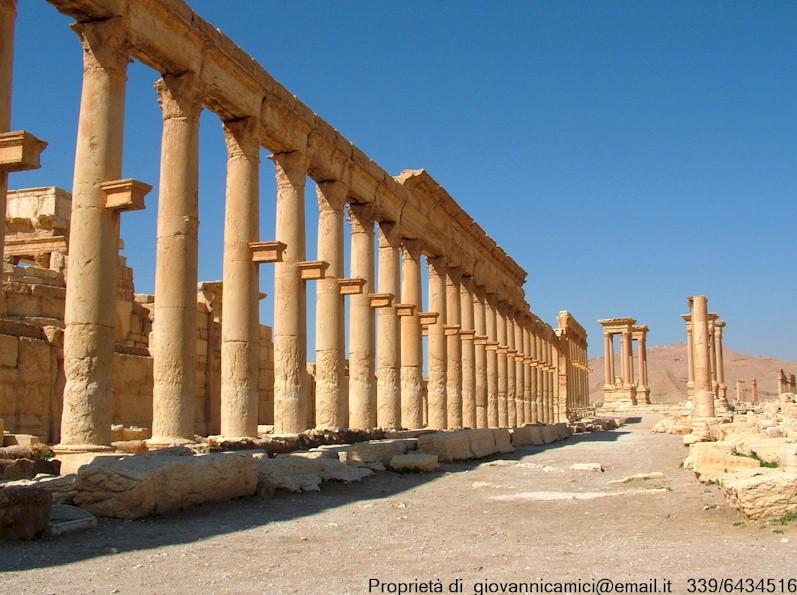 Viaggiare Il cardo di Palmira