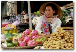 Vietnam: impressioni di viaggio...