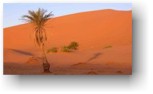Mauritania, le città sepolte dalle dune